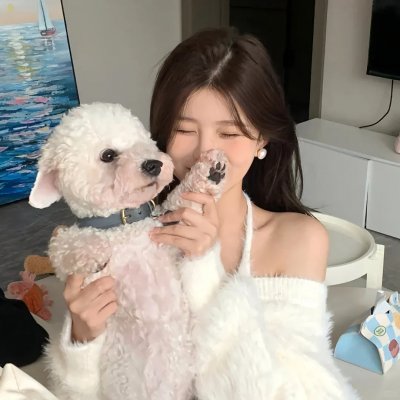 麦兜·当当伴我心
