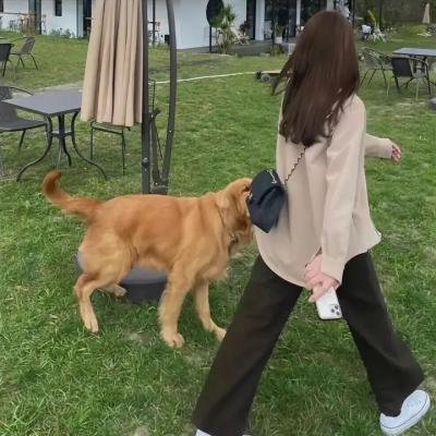 水中效应