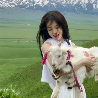 海军忠犬马克斯